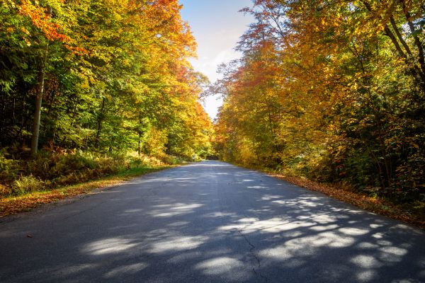 Cost of Blacktop Replacement in Battle Ground